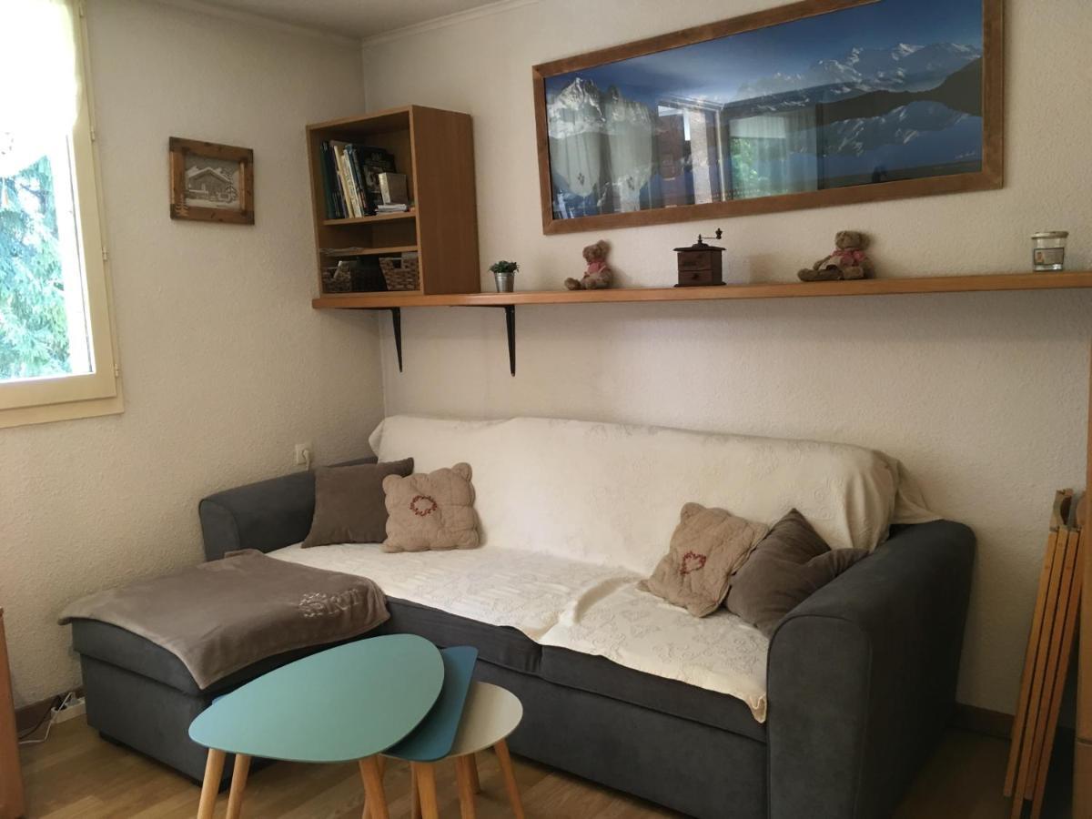 Appartement Chamonix Face Au Mont Blanc Exterior foto